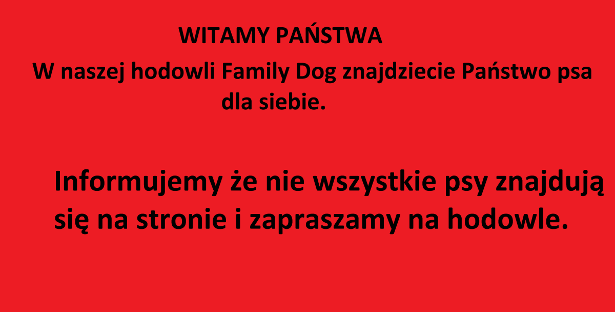 owczarek niemiecki hodowla